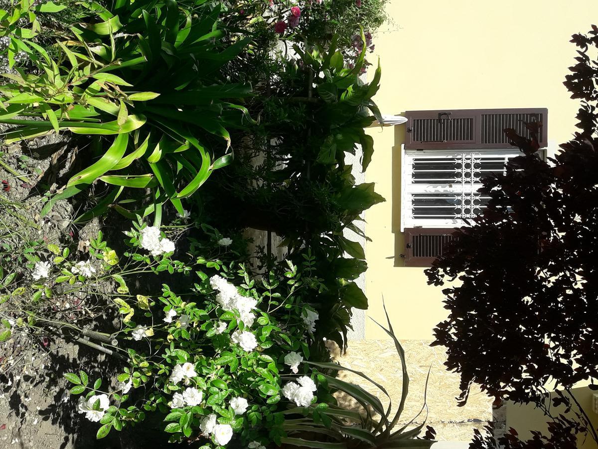 Ferienwohnung Aliso' Sarzana Exterior foto